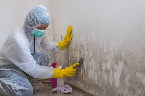 Forensic Mold Investigation